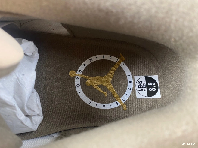 CT8532-102 Jordan Air Palomino 3 0816